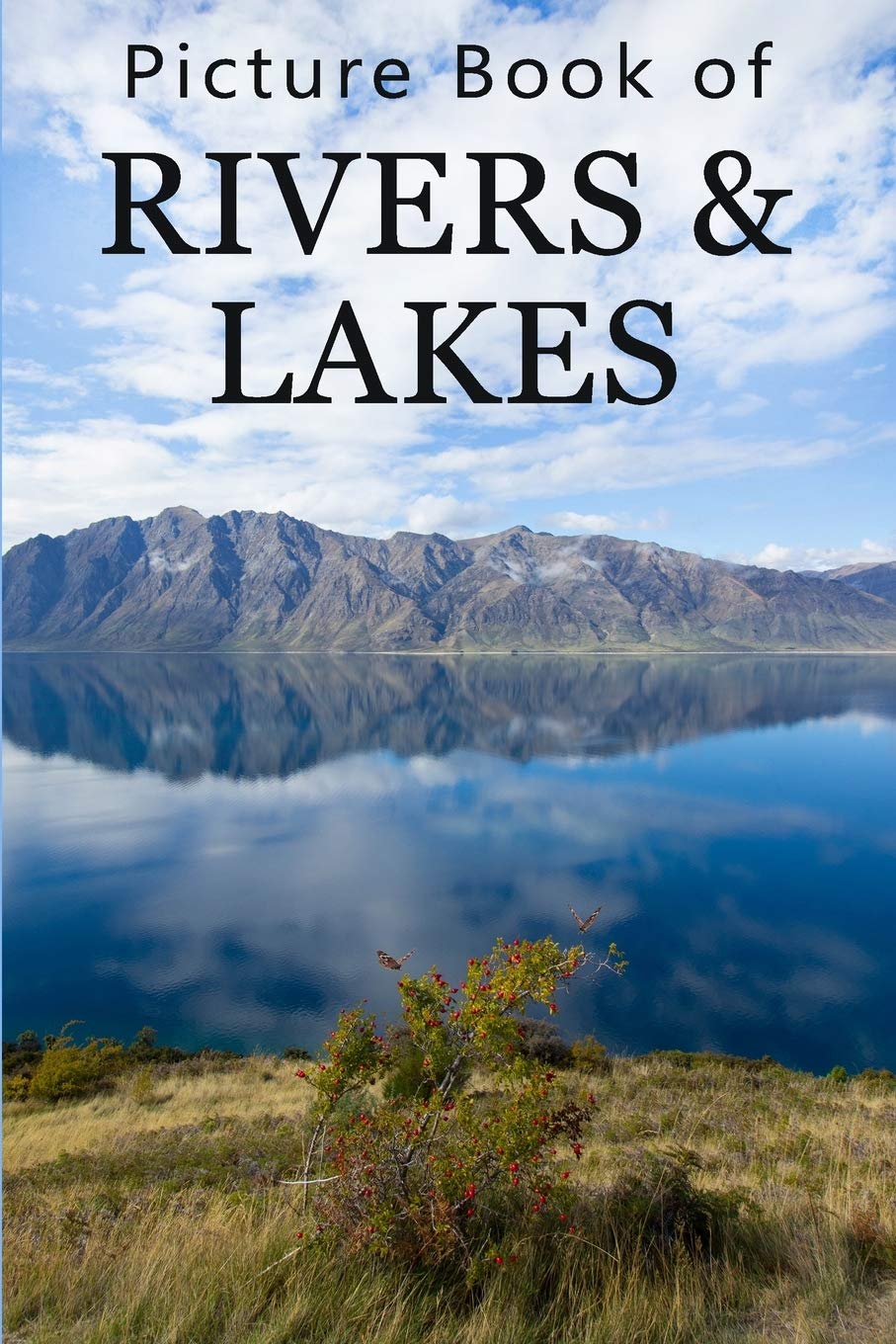 Picture Book of Rivers and Lakes: For Seniors with Dementia, Memory Loss, or Confusion (No Text) (Picture Books of Nature for Pe,Used