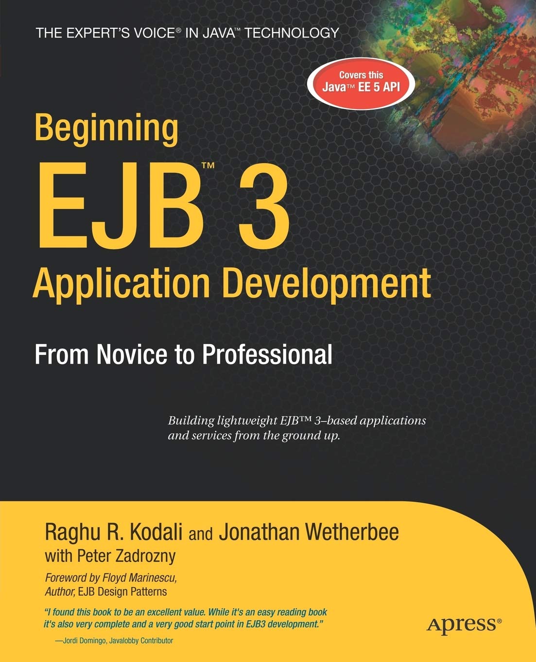 Beginning EJB 3 Application Development: From Novice to Professional (Beginning: From Novice to Professional),Used