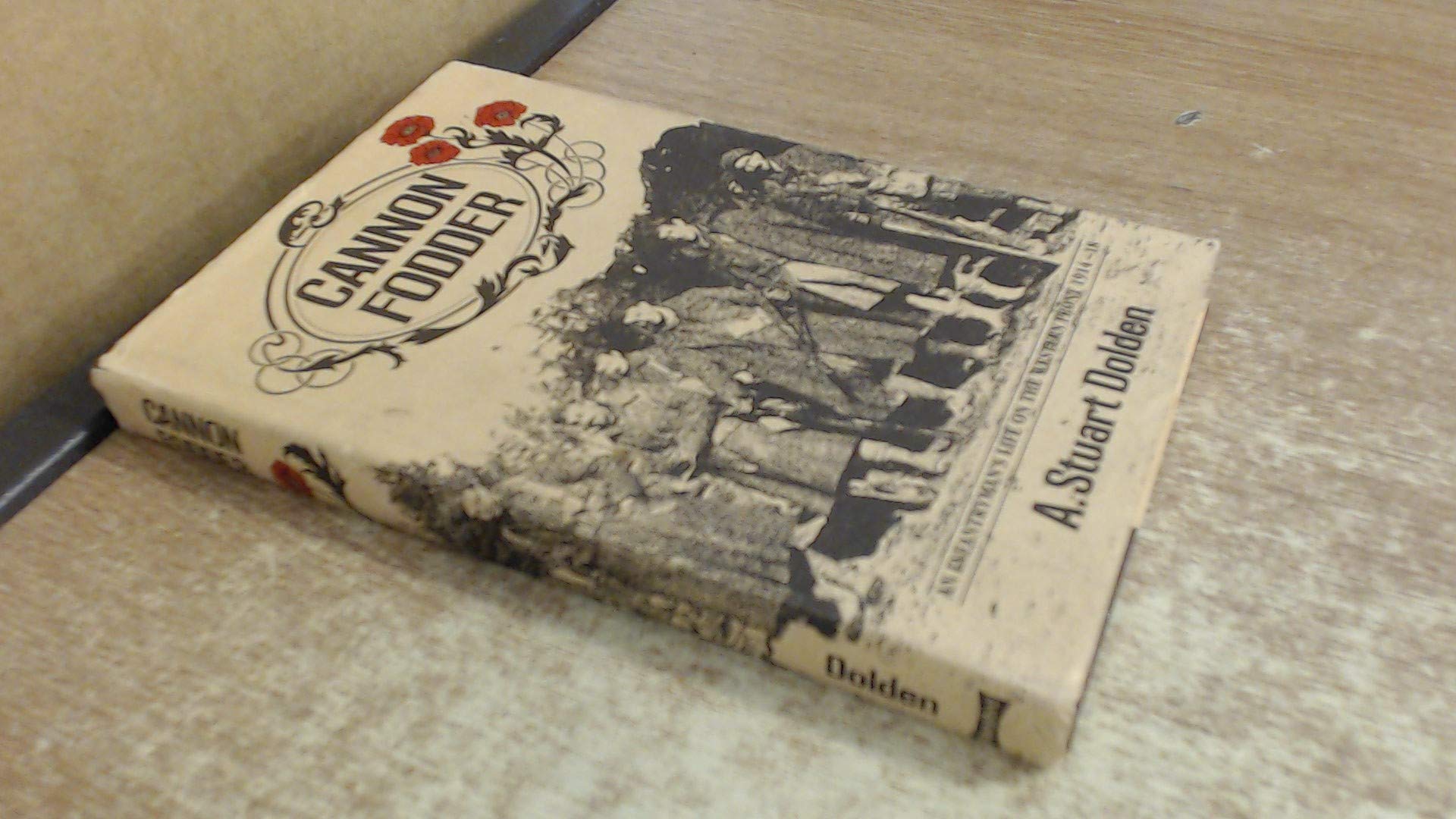 Cannon Fodder: An Infantryman's Life on the Western Front, 191418,Used