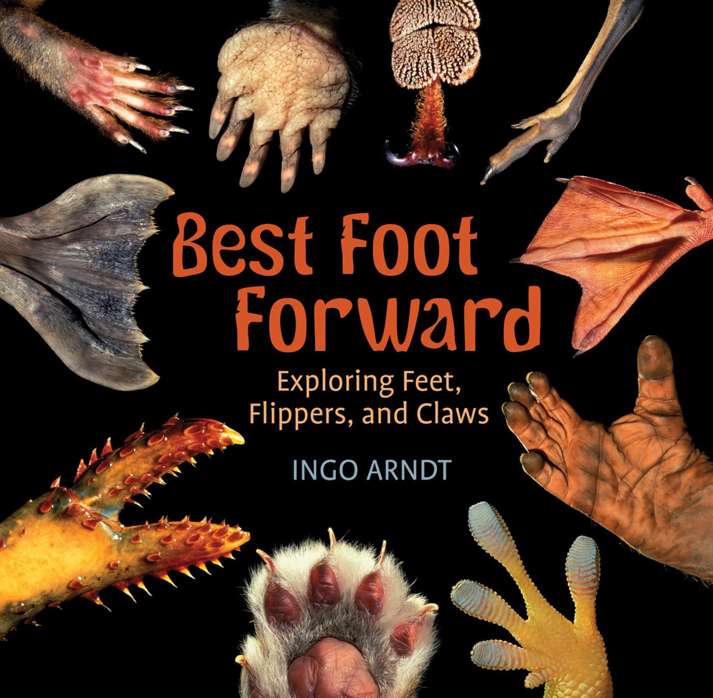 Best Foot Forward: Exploring Feet, Flippers, and Claws,Used