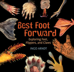 Best Foot Forward: Exploring Feet, Flippers, and Claws,Used