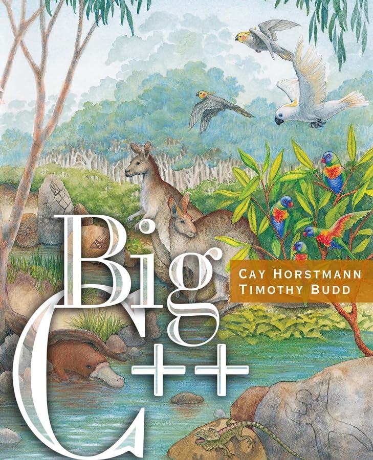 Big C++,Used