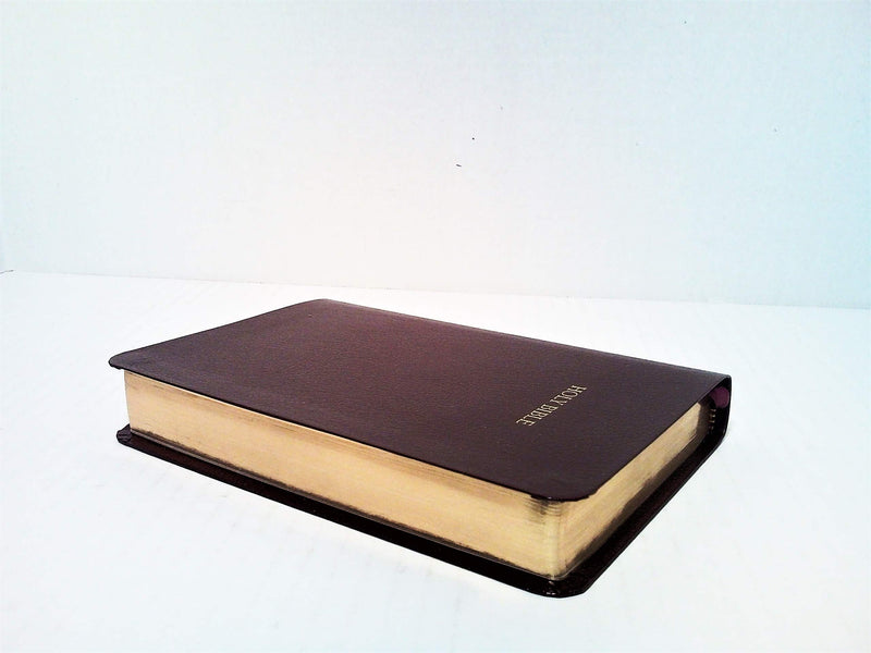 Holy Bible NKJV (Pocket Companion Bible),Used