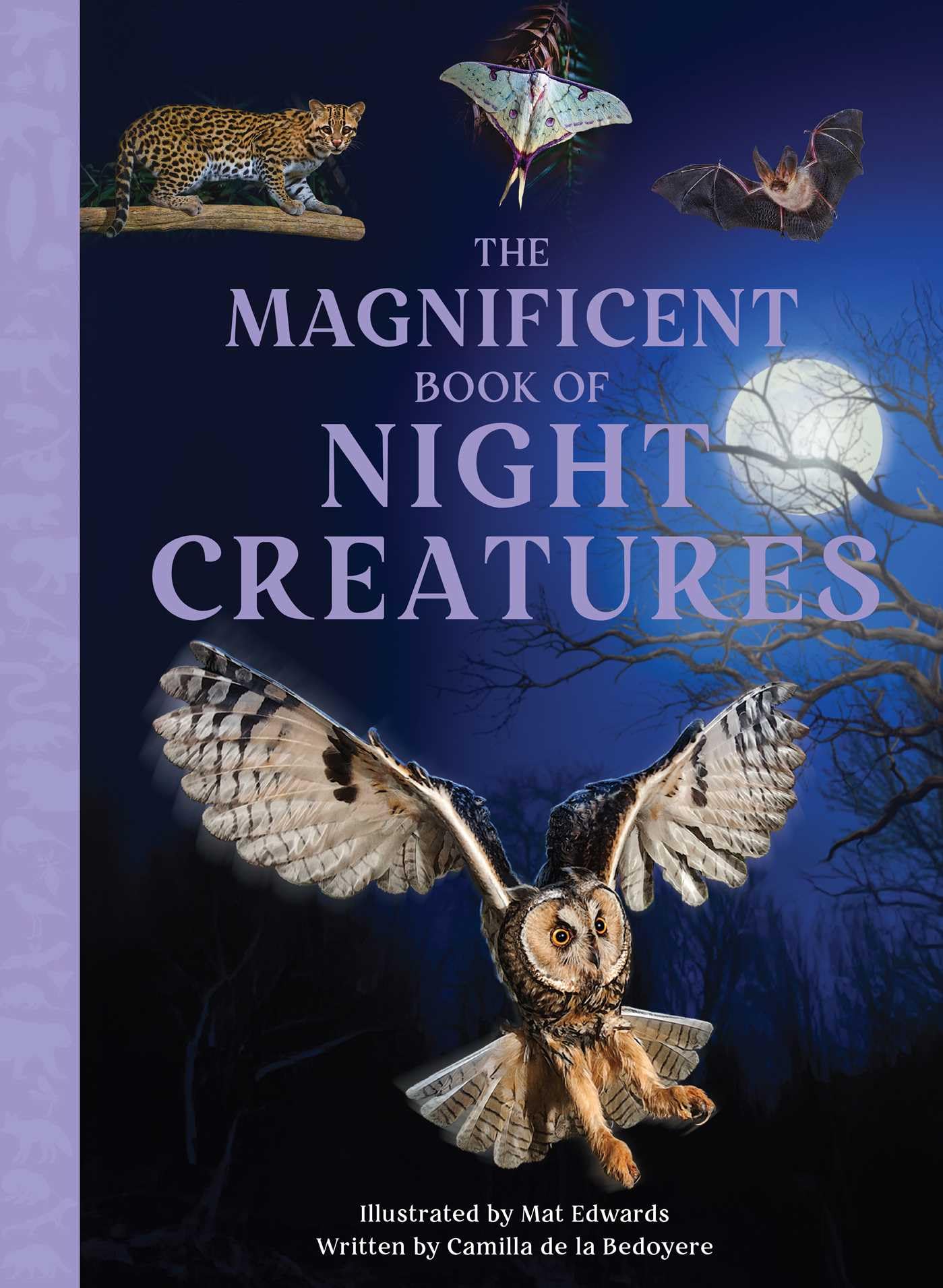 The Magnificent Book Of Night Creatures