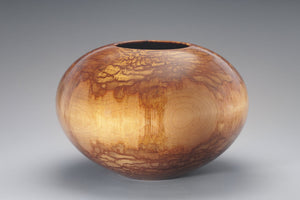 The Cutting Edge: The Lipton Collection and Contemporary Wood Art,Used