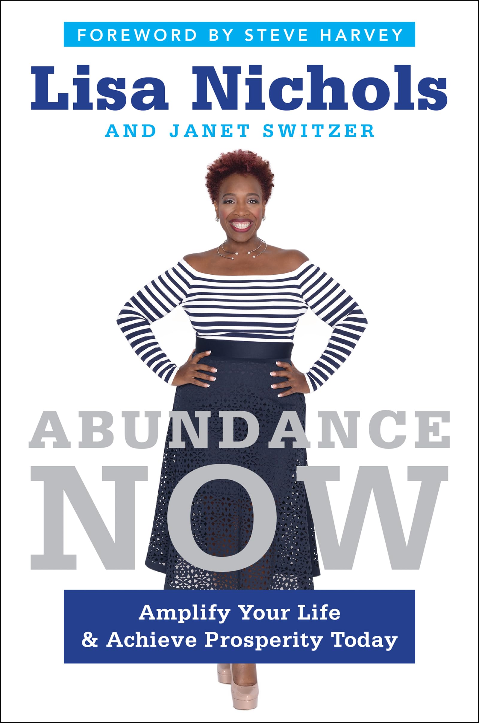 Abundance Now: Amplify Your Life & Achieve Prosperity Today,Used