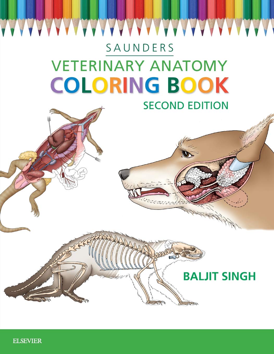 Veterinary Anatomy Coloring Book-used