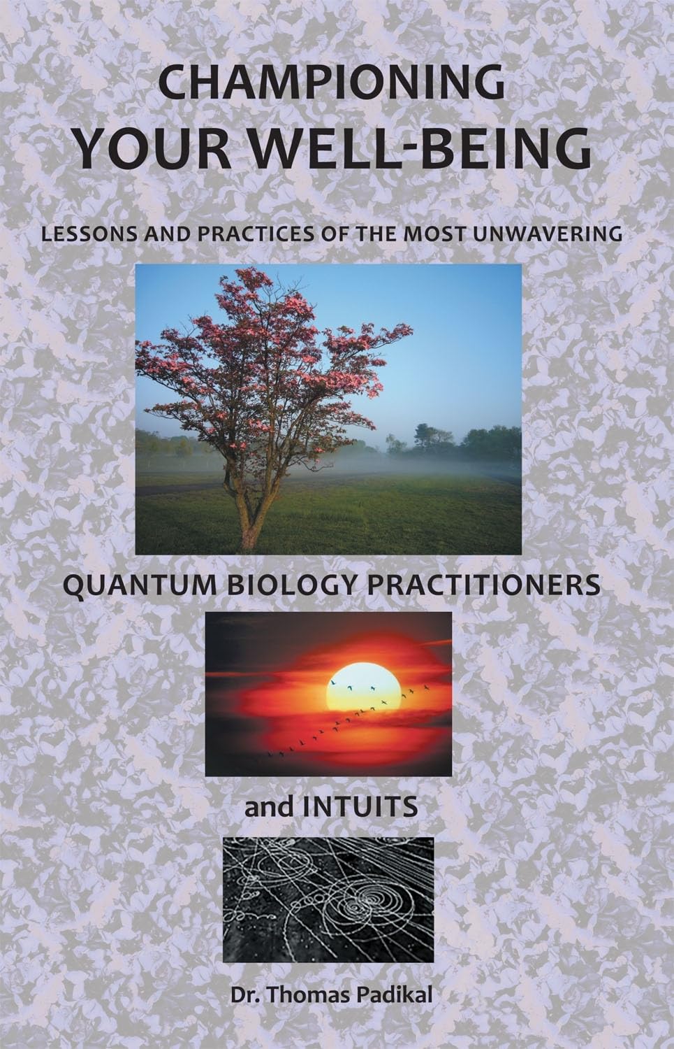 Championing Your Wellbeing: Lessons And Practices Of The Most Unwavering Quantum Biology Practitioners And Intuits,Used