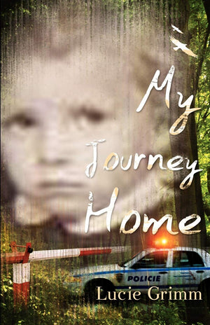 My Journey Home,Used
