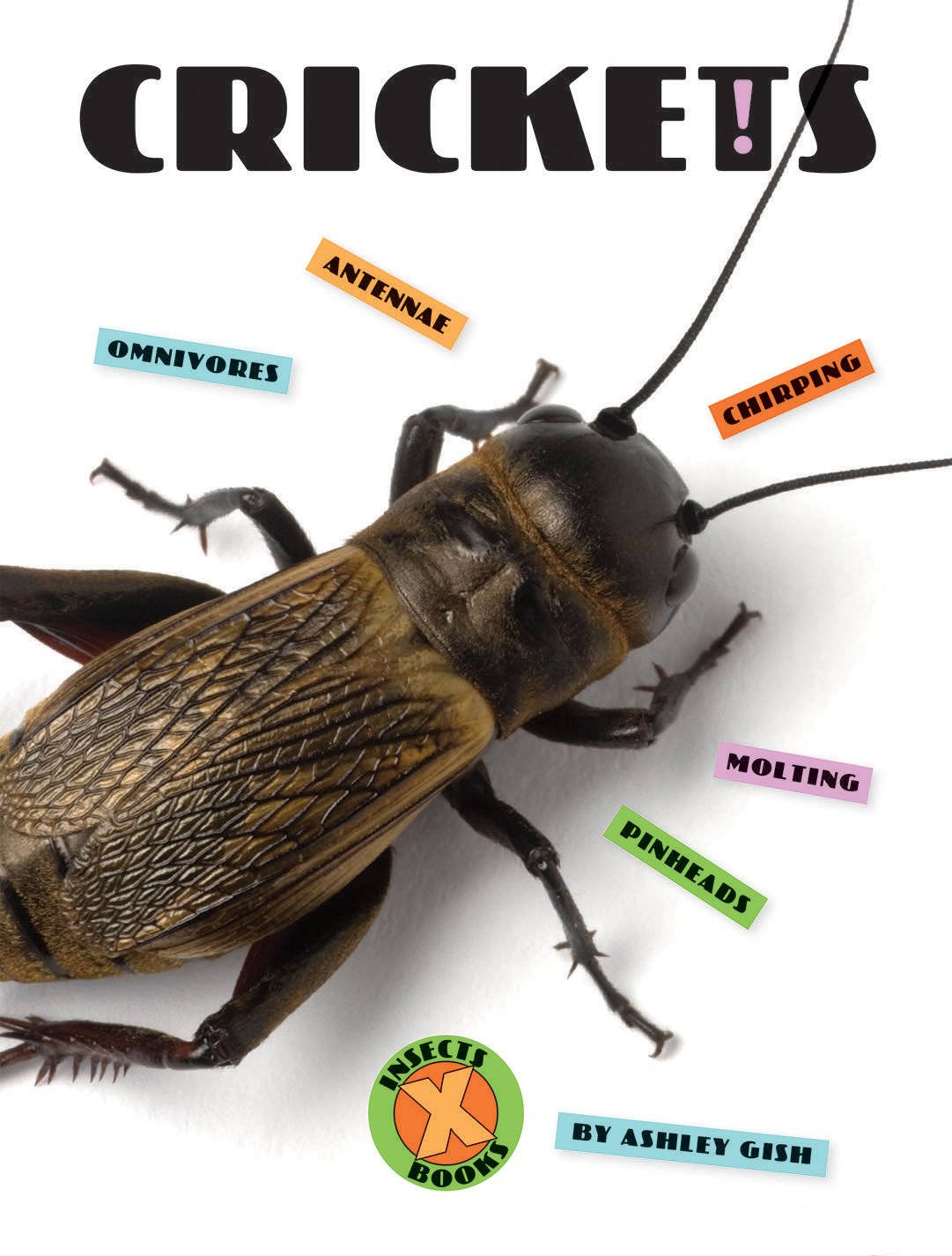 Crickets (Xbooks: Insects)
