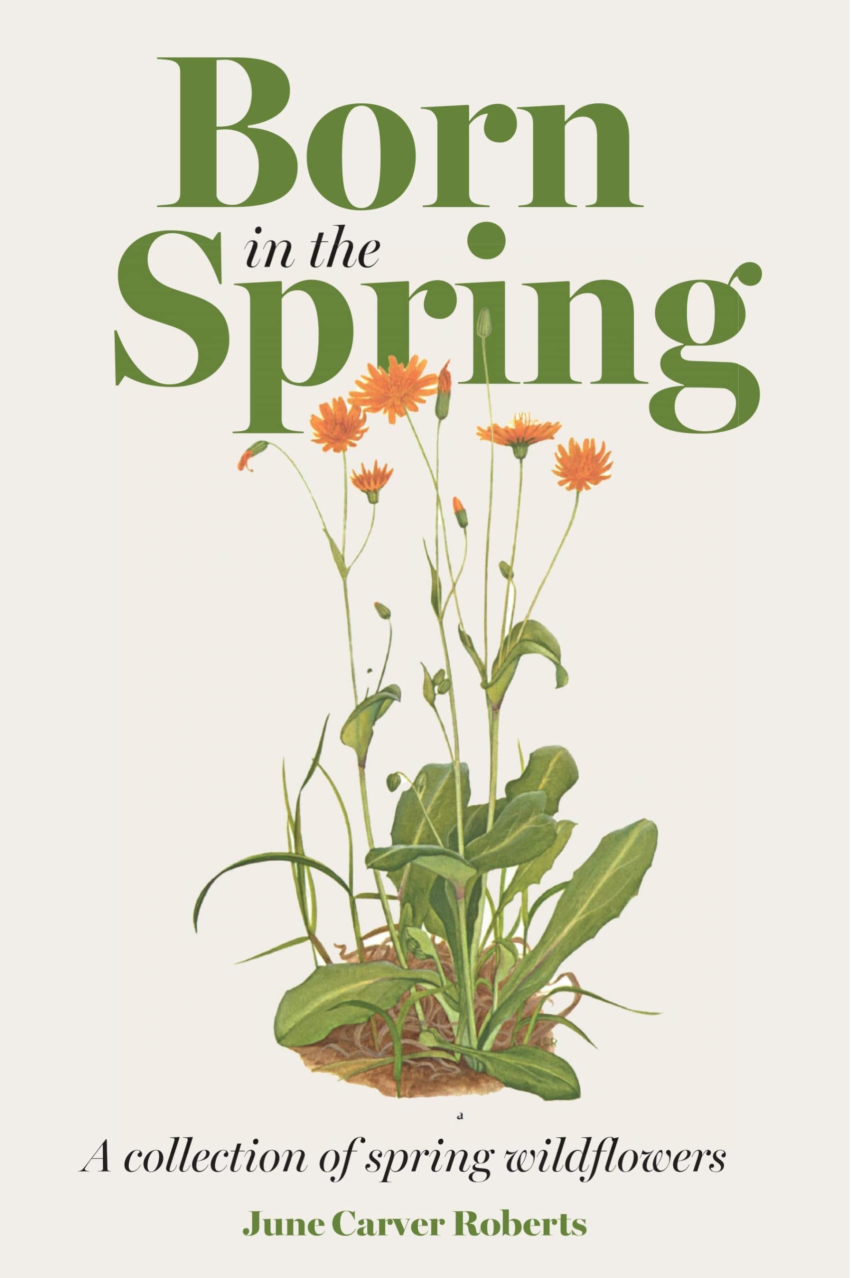 The Born in the Spring: A Collection of Spring Wildflowers,Used