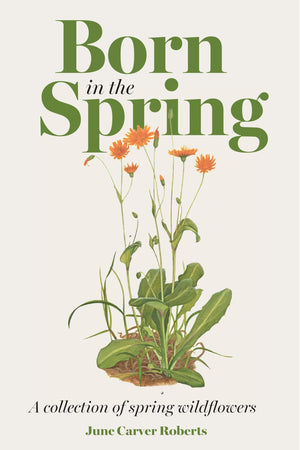 The Born in the Spring: A Collection of Spring Wildflowers,Used