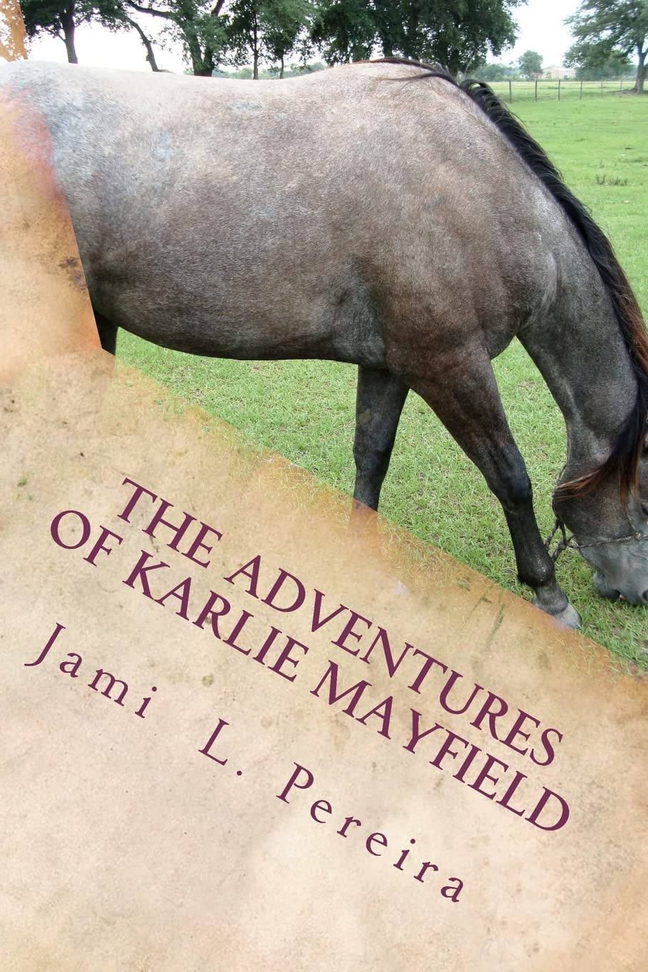 The Adventures Of Karlie Mayfield: In The Beginning,Used