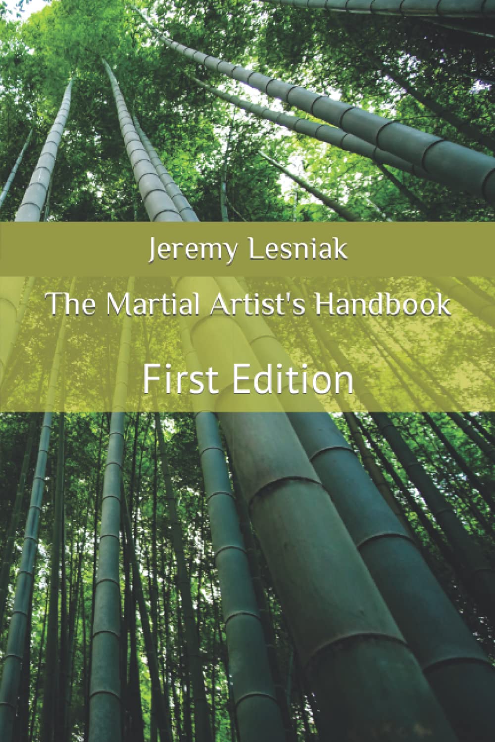 The Martial Artists Handbook,Used