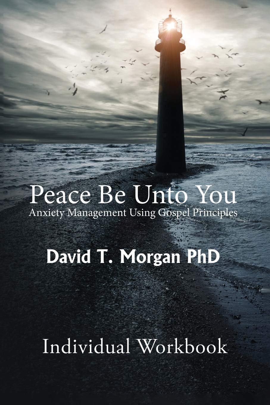 Peace Be Unto You: Anxiety Management Using Gospel Principles: Individual Workbook,Used