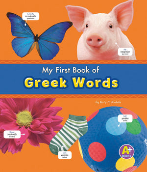 My First Book of Greek Words (A+ Books: Bilingual Picture Dictionaries) (English and Greek Edition),Used