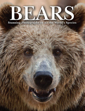 Bears: Stunning Photographs Of All The World'S Species