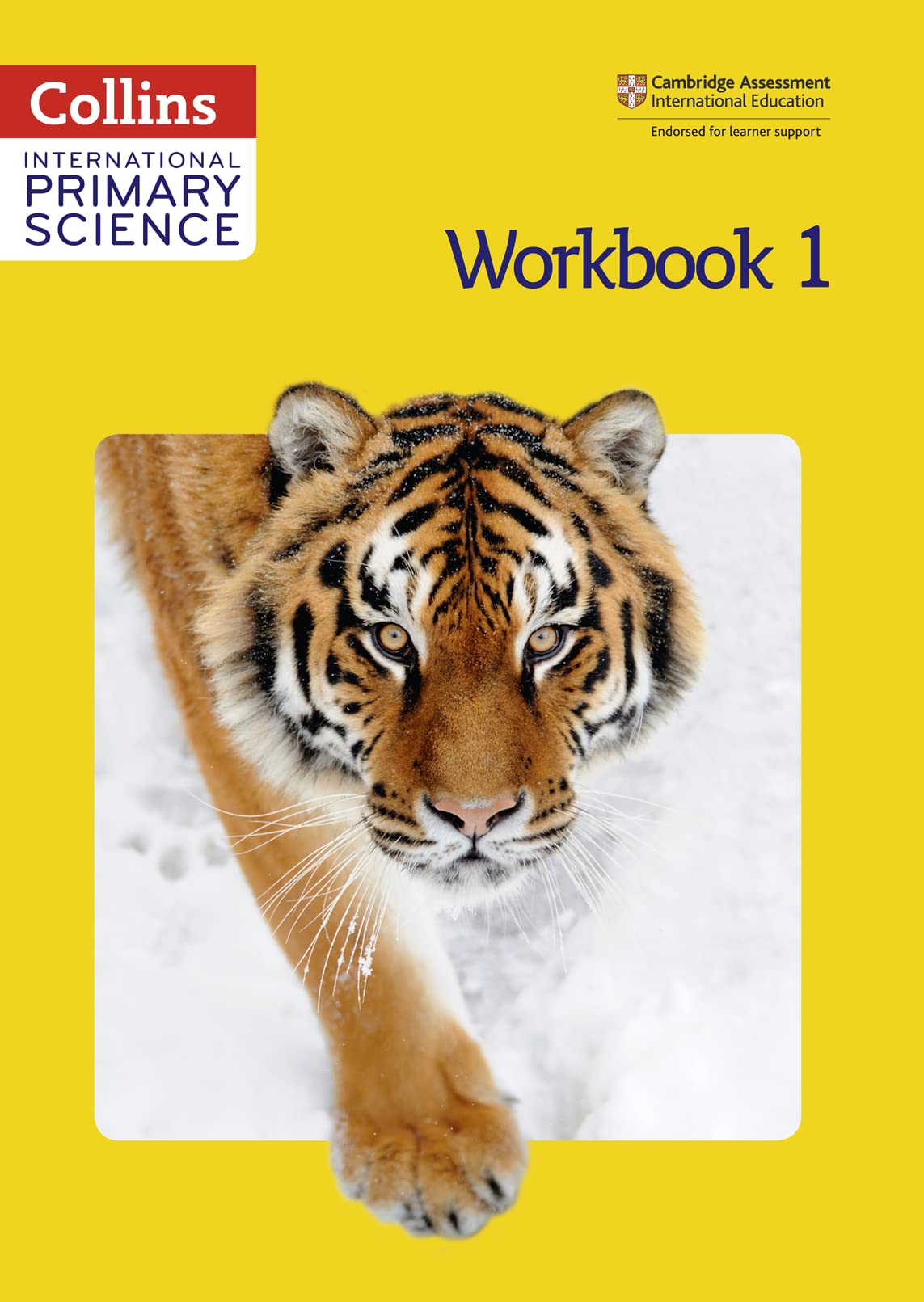 Collins International Primary Science  Workbook 1,Used