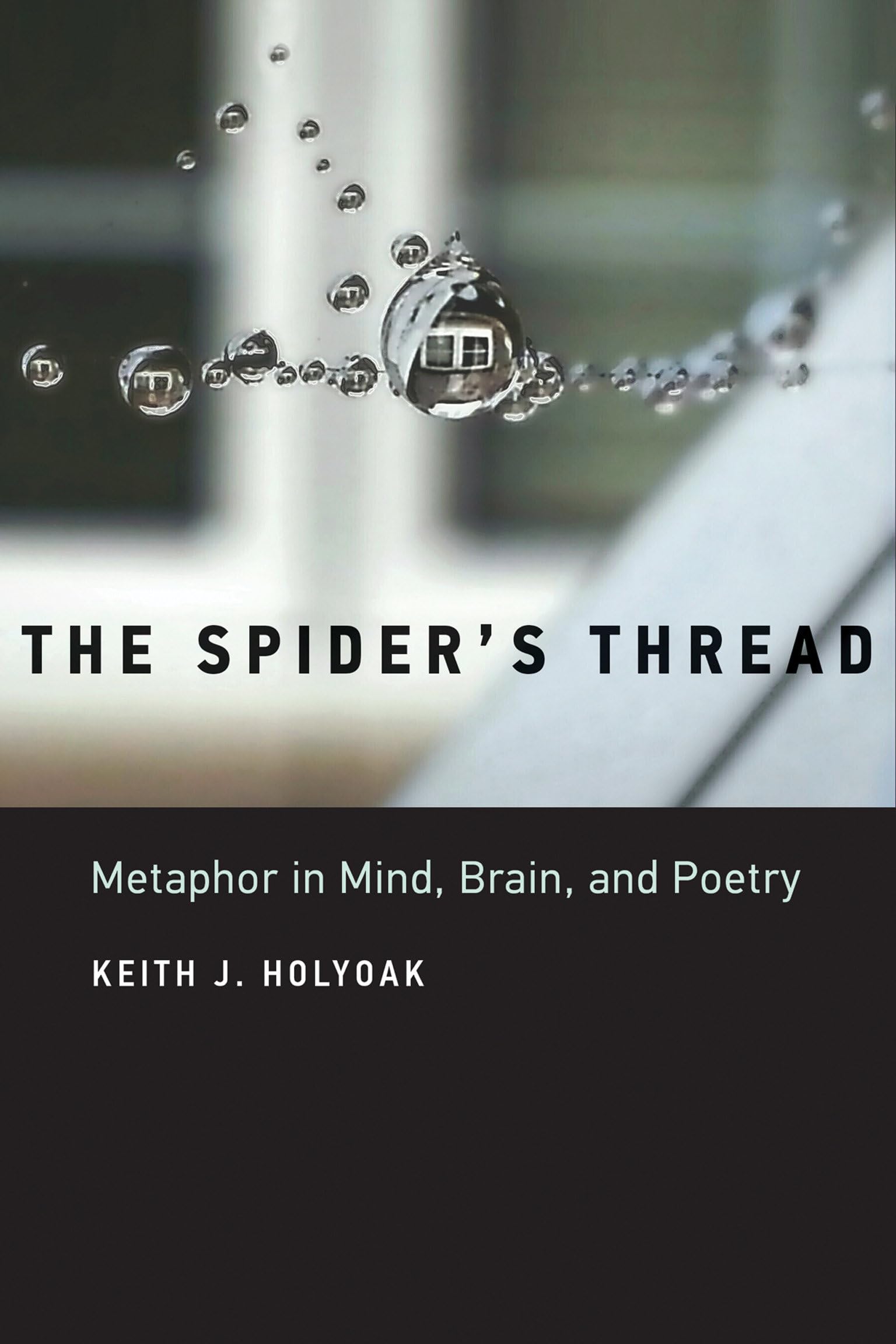 The Spider's Thread: Metaphor in Mind, Brain, and Poetry,New