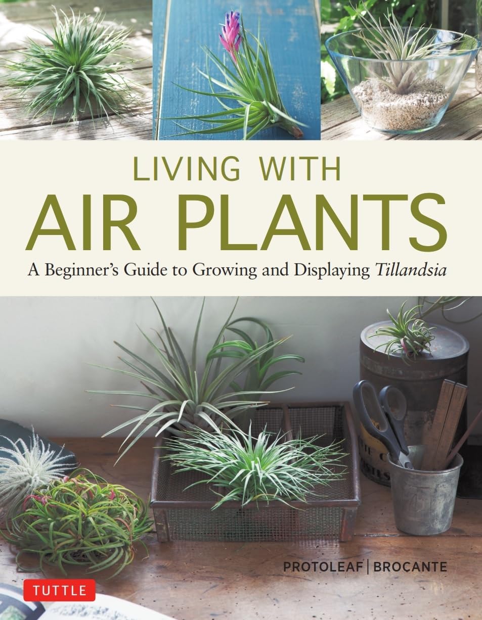 Living With Air Plants: A Beginner'S Guide To Growing And Displaying Tillandsia,New
