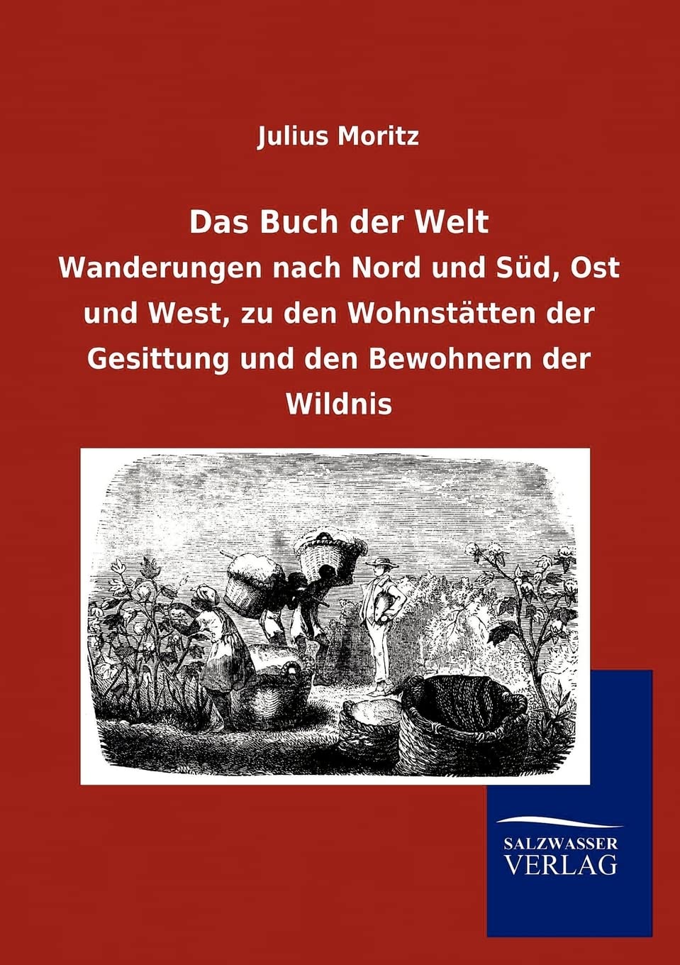 Das Buch der Welt (German Edition),Used