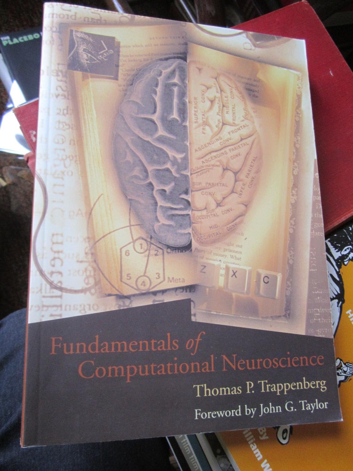 Fundamentals Of Computational Neuroscience
