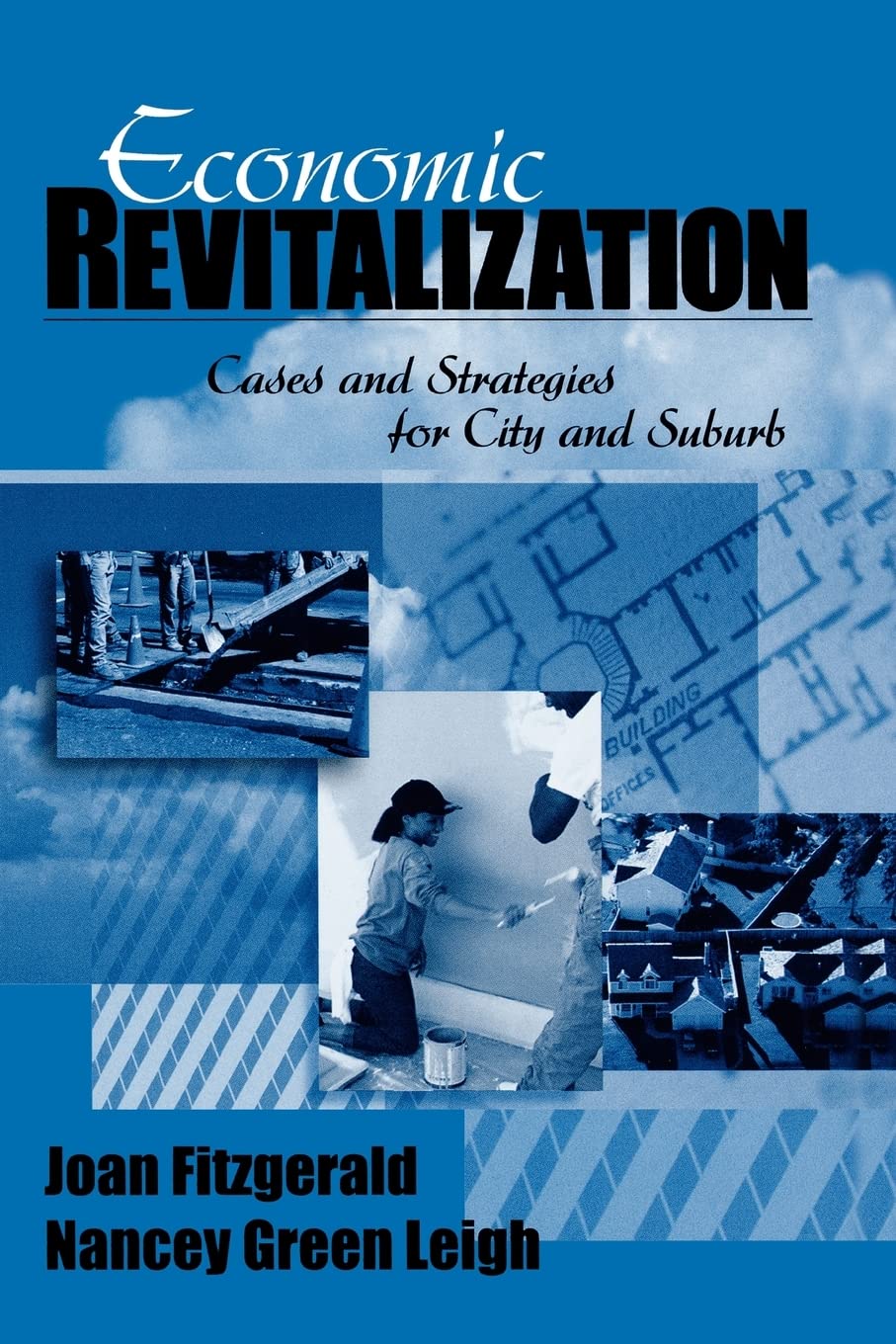 Economic Revitalization: Cases and Strategies for City and Suburb,New