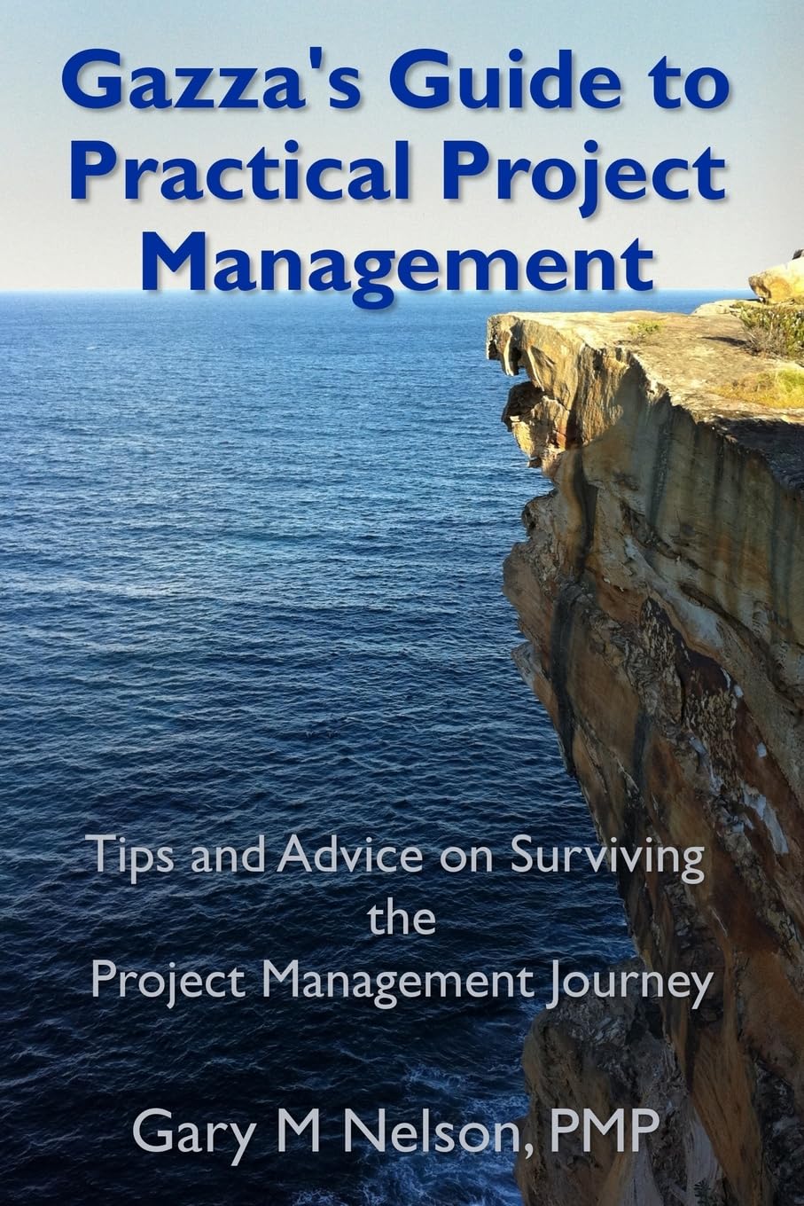 Gazza's Guide to Practical Project Management: Tips and advice on Surviving the Project Management Journey,Used