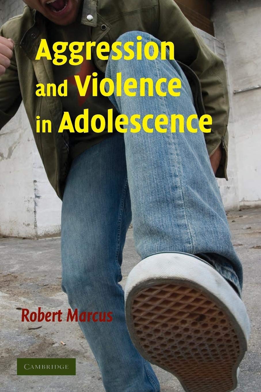Aggression And Violence In Adolescence,New