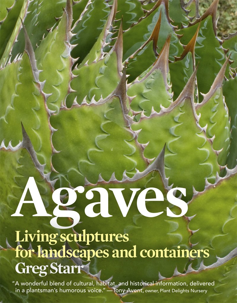 Agaves: Living Sculptures for Landscapes and Containers,Used