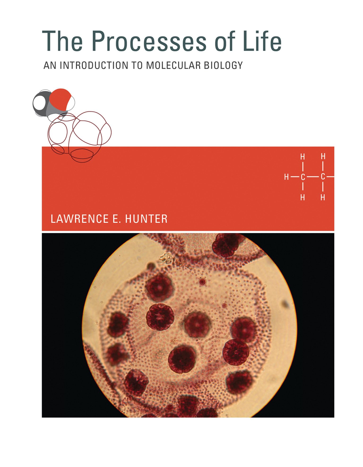 The Processes of Life: An Introduction to Molecular Biology (Mit Press),New