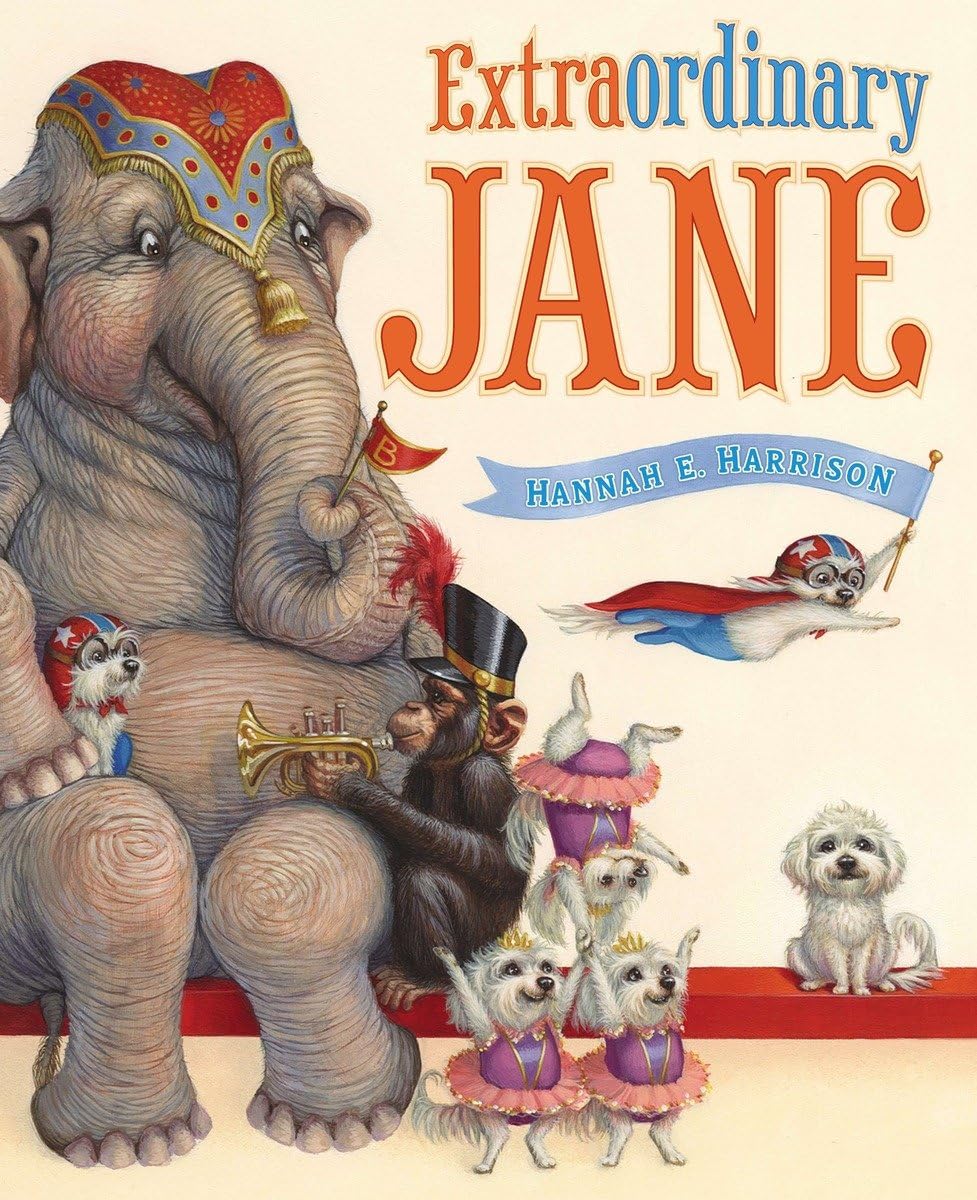 Extraordinary Jane,Used