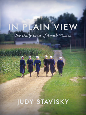 In Plain View: The Daily Lives Of Amish Women,Used
