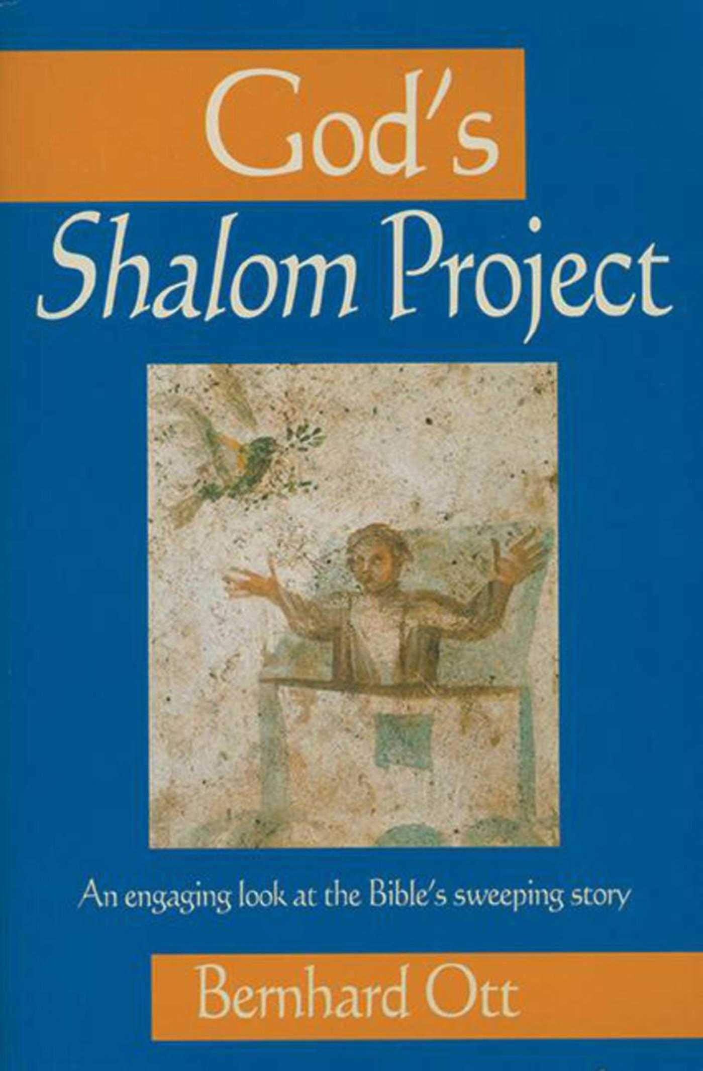 God's Shalom Project: An engaging look at the Bible's sweeping story,Used