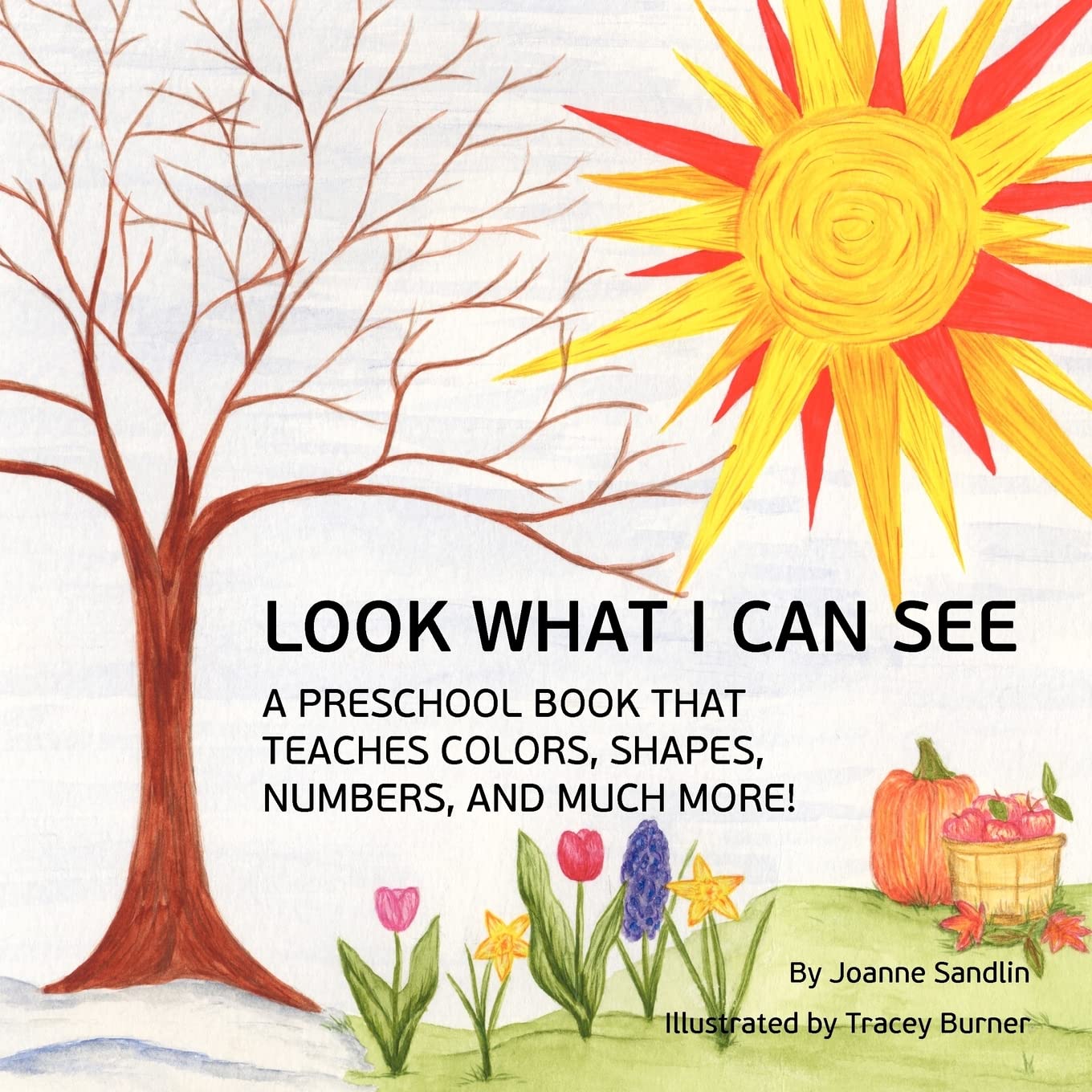 Look What I Can See: A Preschool Book That Teaches Colors, Shapes, Numbers, And Much More!,Used