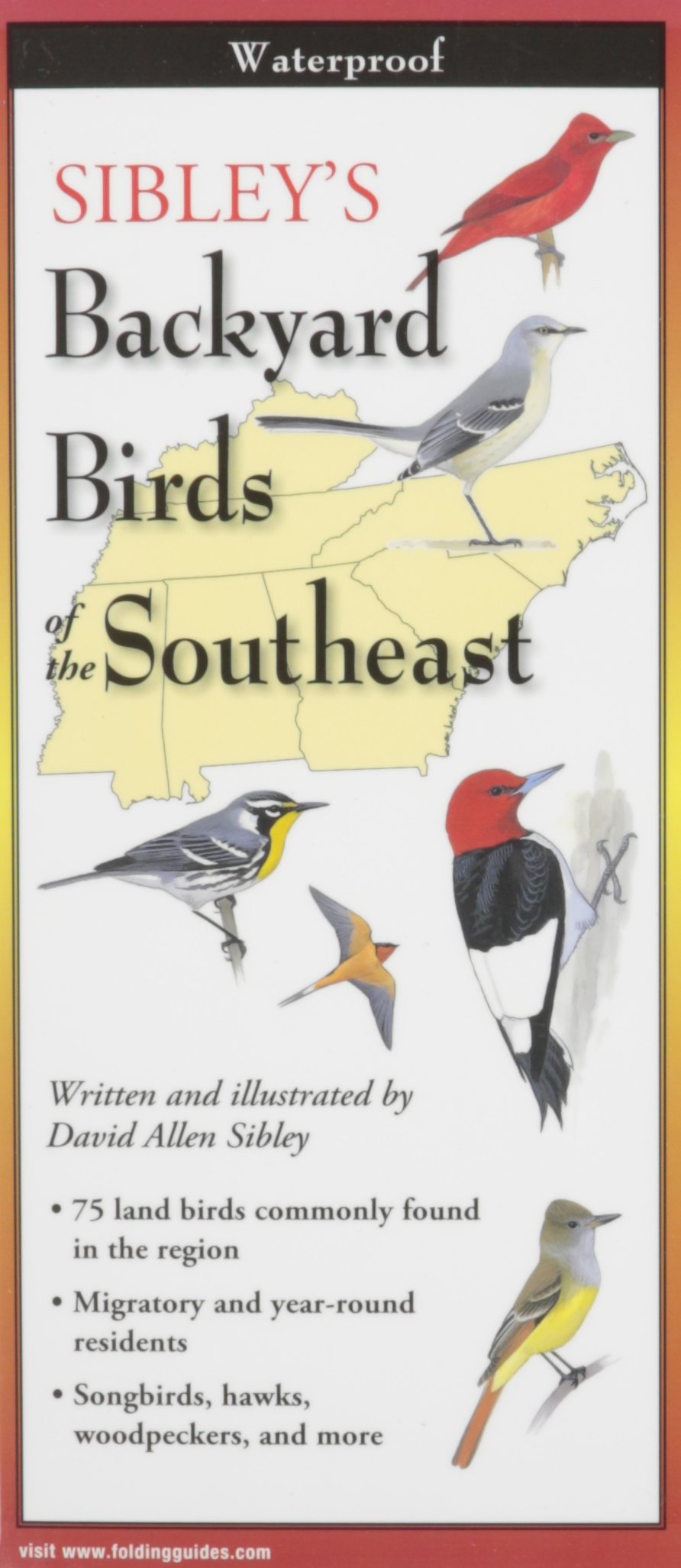 Sibley's Backyard Birds of the Southeast (Foldingguides),Used