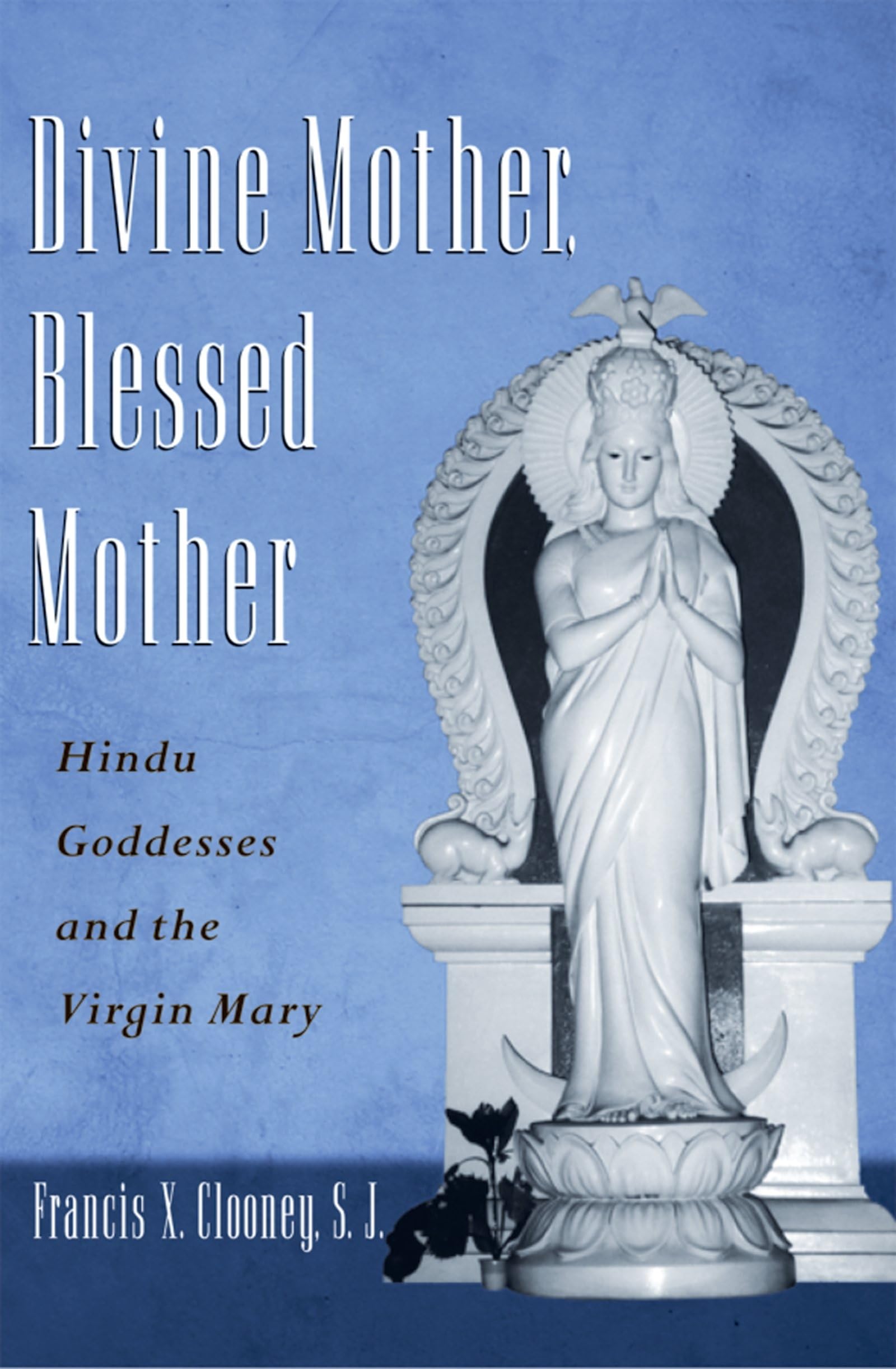 Divine Mother, Blessed Mother: Hindu Goddesses and the Virgin Mary,New