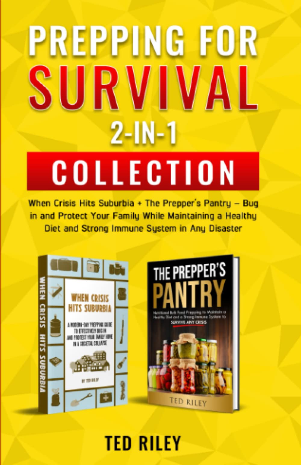 Prepping For Survival 2In1 Collection: When Crisis Hits Suburbia + The Prepper-new,New
