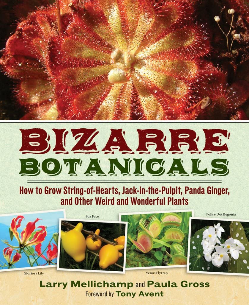 Bizarre Botanicals: How To Grow Stringofhearts, Jackinthepulpit, Panda Ginger, And Other Weird And Wonderful Plants,Used