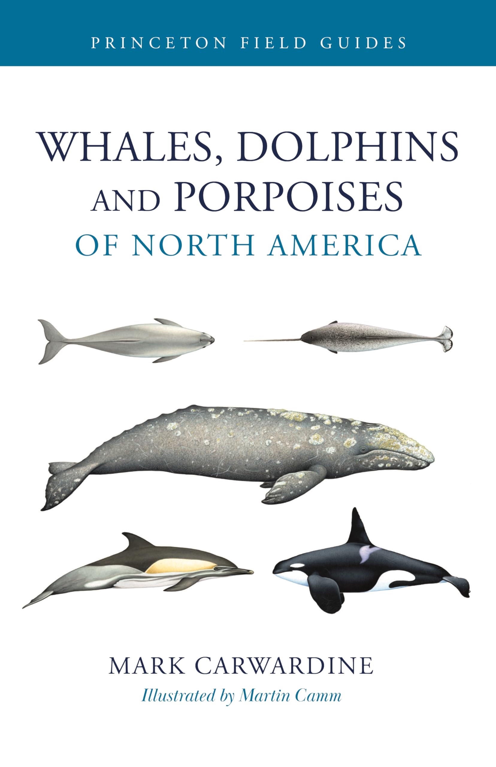 Whales, Dolphins, And Porpoises Of North America (Princeton Field Guides)
