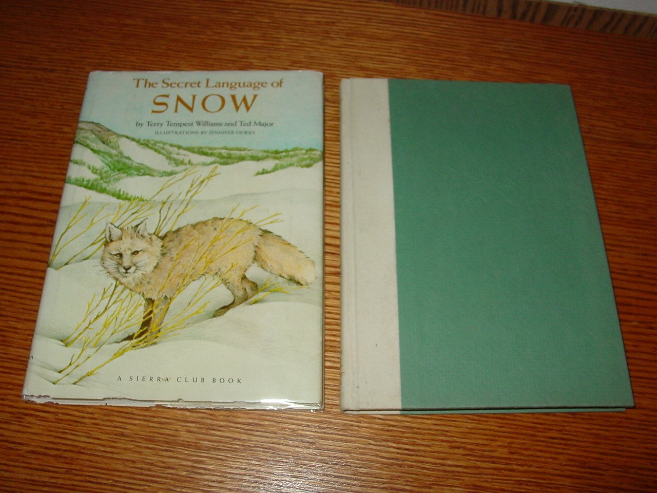 The Secret Language Of Snow,Used