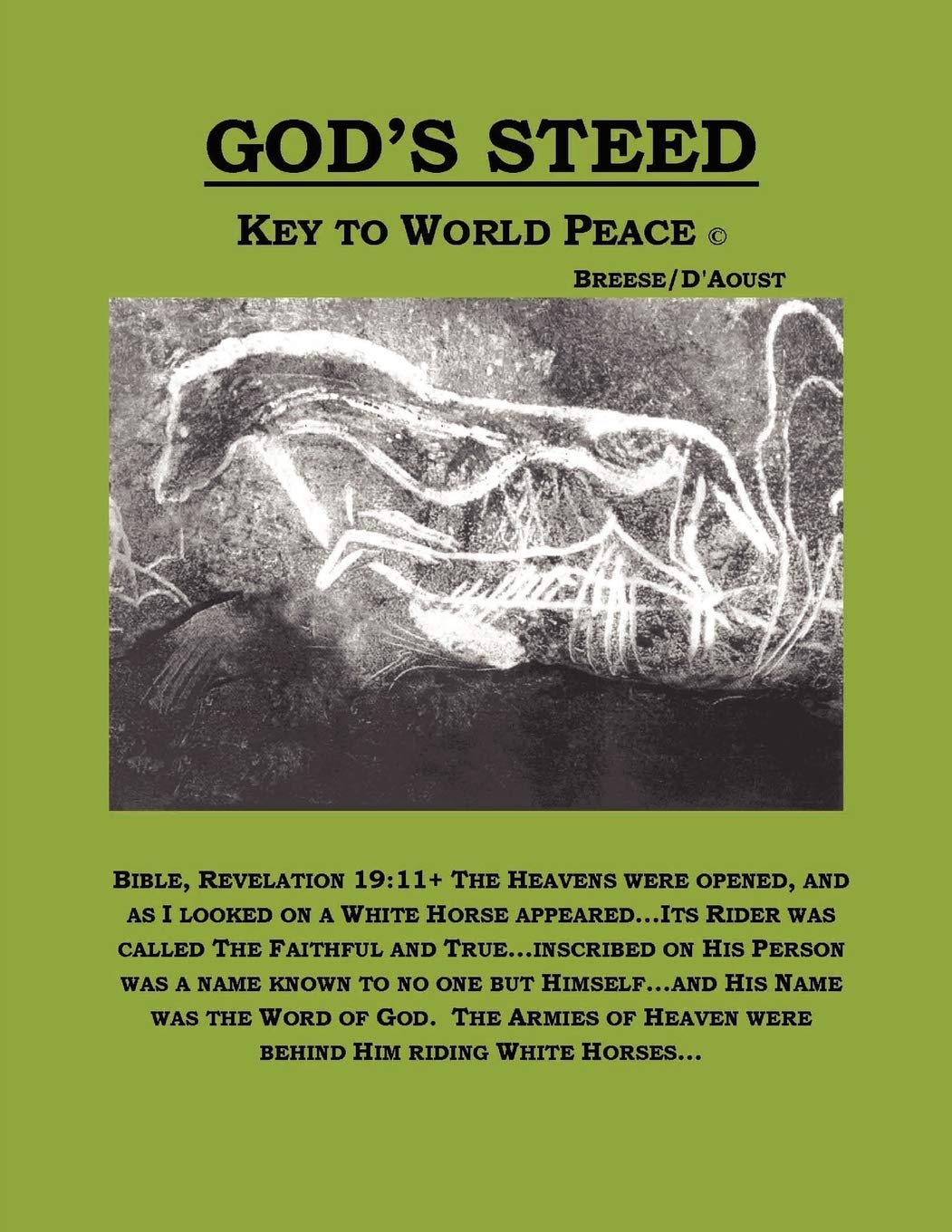 God'S Steed Key To World Peace,Used