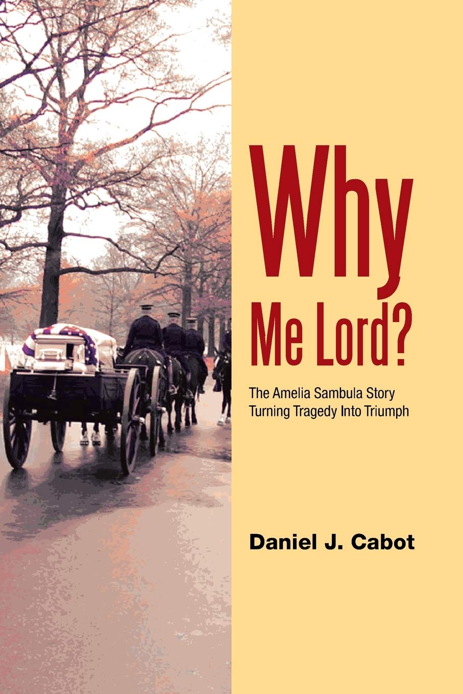 Why Me Lord?: The Amelia Sambula Story Turning Tragedy into Triumph,Used