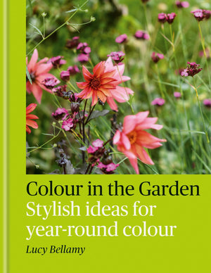 Colour In The Garden: Stylish Ideas For YearRound Colour