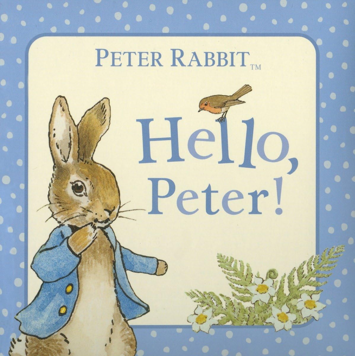 Hello, Peter! (Peter Rabbit),Used