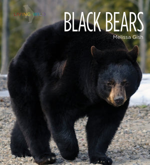 Black Bears (Living Wild)