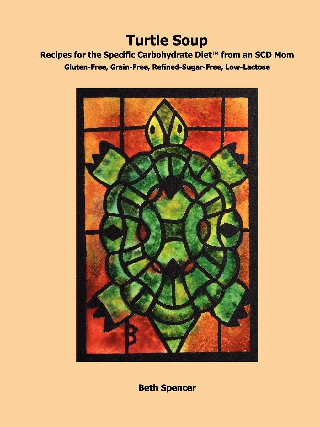 Turtle Soup: Recipes for the Specific Carbohydrate Diet from an SCD Mom,Used