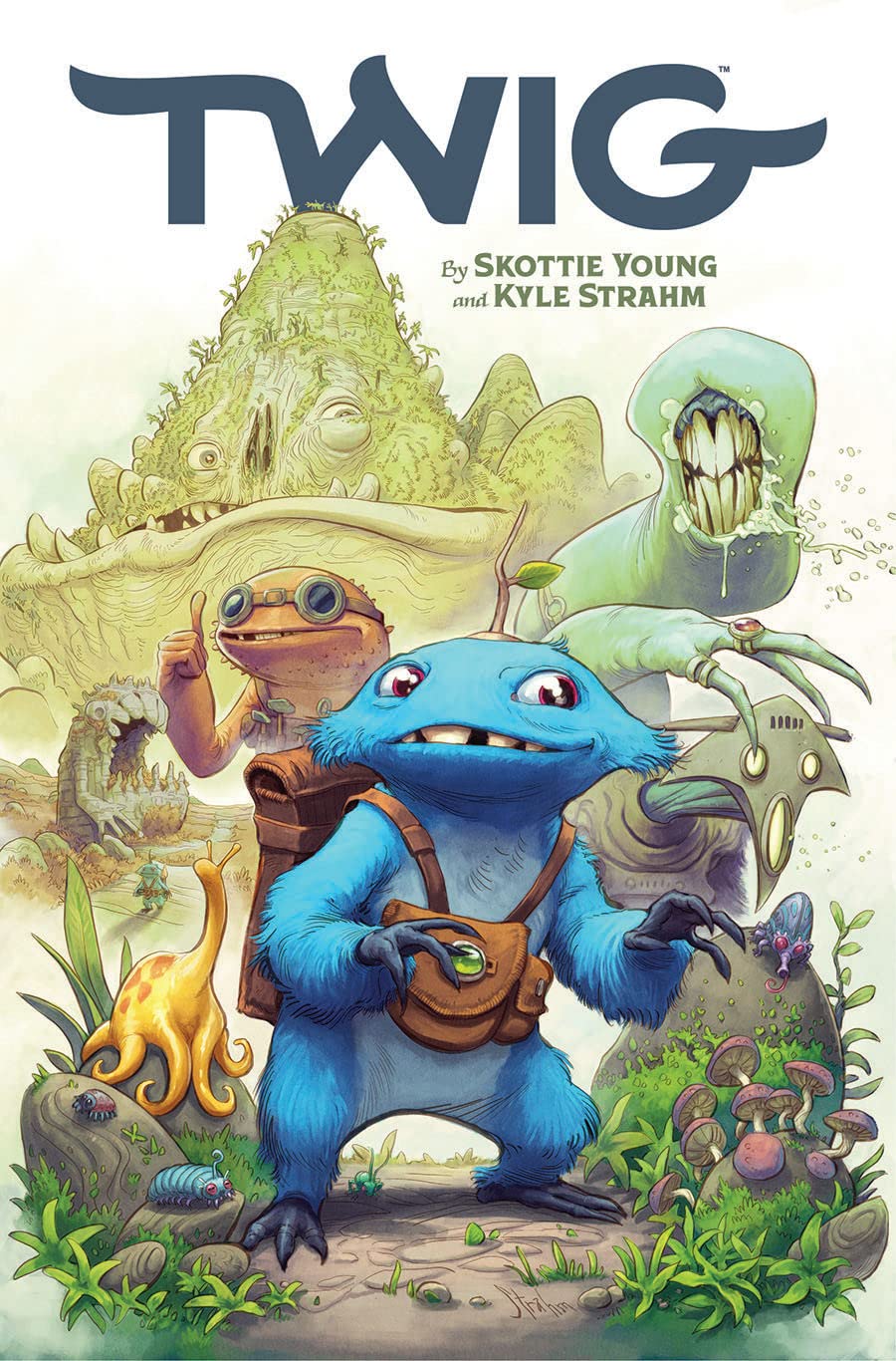 Twig Volume 1,Used
