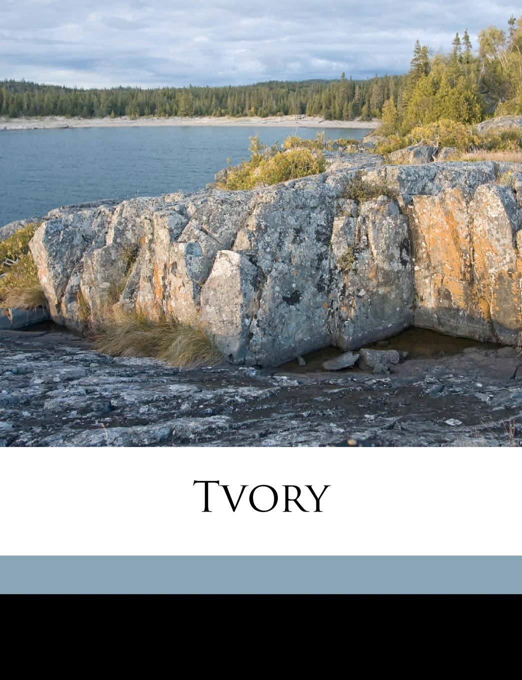 Tvory Volume 2 (Ukrainian Edition),New