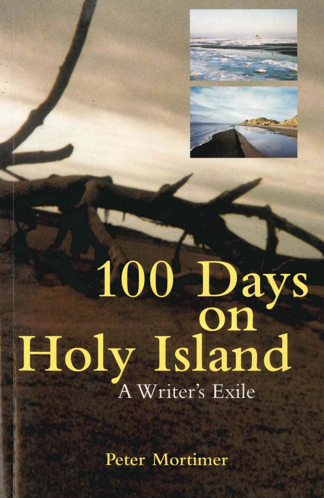 100 Days on Holy Island: A Writer's Exile,Used